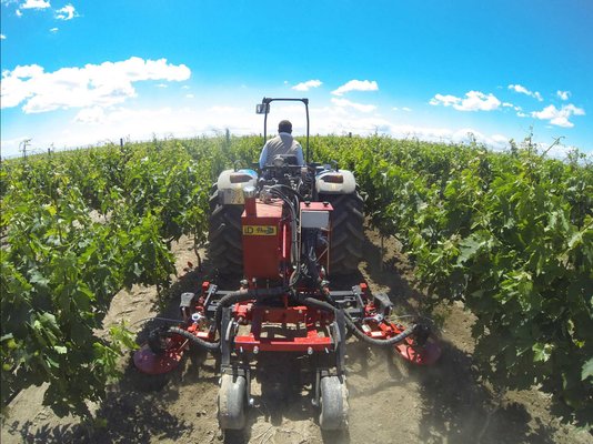 Atadora de viñas - Todos los fabricantes de la agricultura