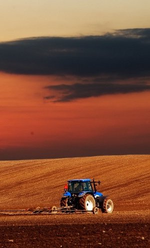 Noticias ITT CEVIT: Subventions à le machine agricole innovante